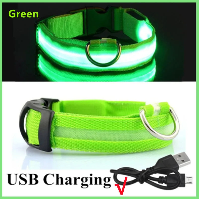 LED-Hundehalsband mit USB-Ladung – Leuchtendes, verstellbares Sicherheits-Halsband für Hunde & Katzen
