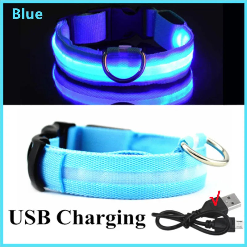 LED-Hundehalsband mit USB-Ladung – Leuchtendes, verstellbares Sicherheits-Halsband für Hunde & Katzen
