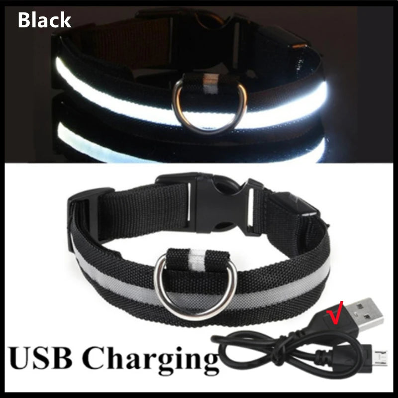 LED-Hundehalsband mit USB-Ladung – Leuchtendes, verstellbares Sicherheits-Halsband für Hunde & Katzen