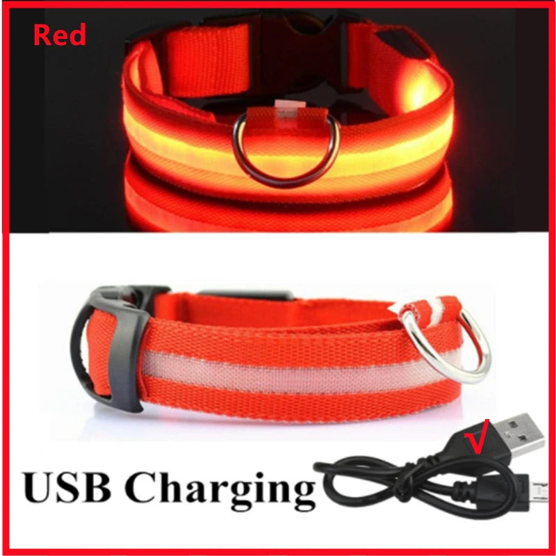 LED-Hundehalsband mit USB-Ladung – Leuchtendes, verstellbares Sicherheits-Halsband für Hunde & Katzen