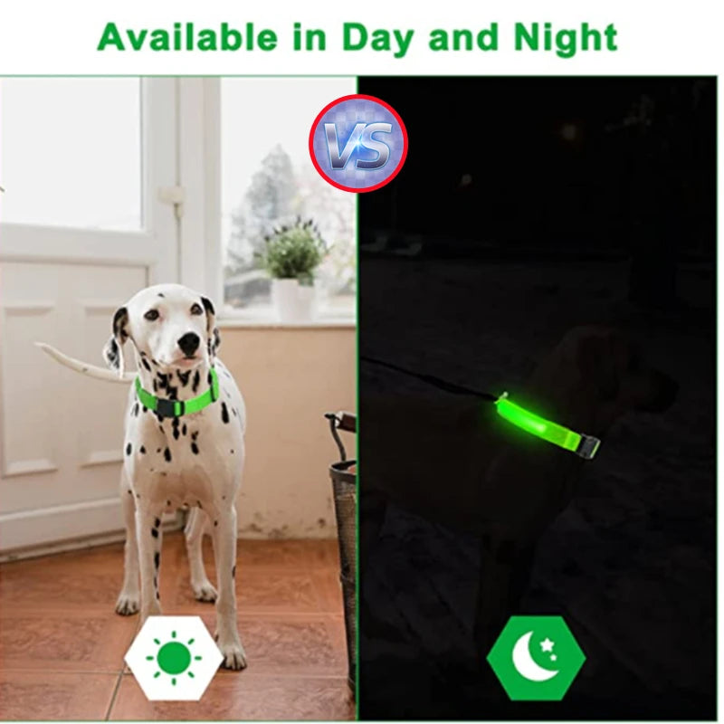 LED-Hundehalsband mit USB-Ladung – Leuchtendes, verstellbares Sicherheits-Halsband für Hunde & Katzen