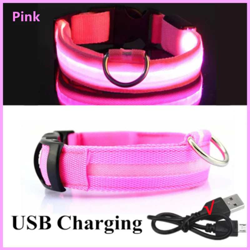 LED-Hundehalsband mit USB-Ladung – Leuchtendes, verstellbares Sicherheits-Halsband für Hunde & Katzen