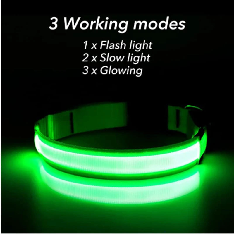 LED-Hundehalsband mit USB-Ladung – Leuchtendes, verstellbares Sicherheits-Halsband für Hunde & Katzen